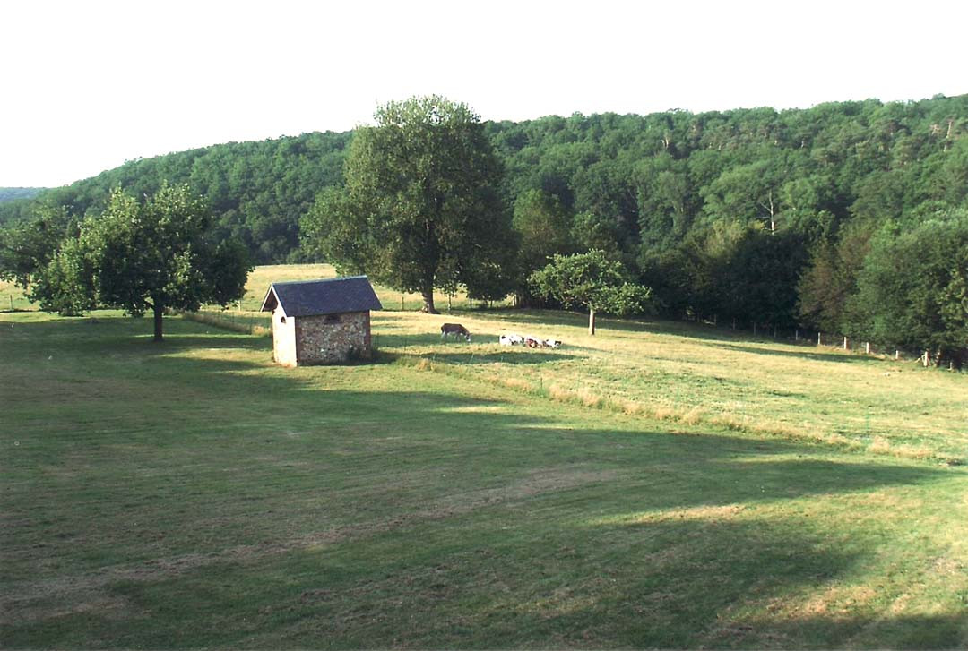 photo 49
