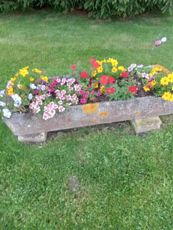 photo 34