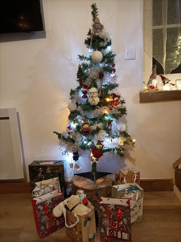 photo 42